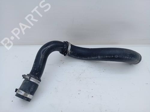 Pipe NISSAN QASHQAI I (J10, NJ10) 1.5 dCi | BP31256184M125