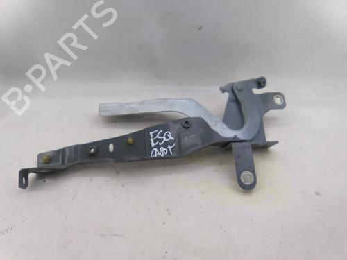 Used Hinge/Door check strap Hinge/Door check strap RENAULT CLIO IV (BH_) 1.5 dCi 75 (75 hp) 20370992 20370992