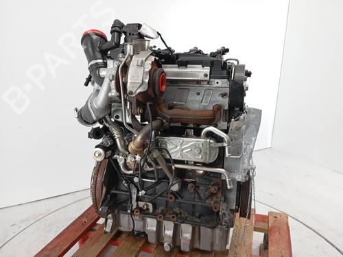 Engine SKODA FABIA II (542) 1.6 TDI | BP31864940M1