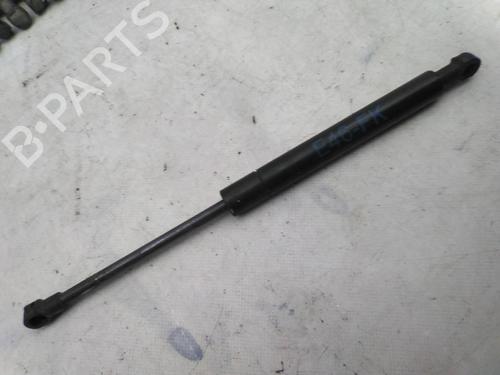 Used Hood lift support BMW 3 (E46) 320 d (136 hp) 21007196
