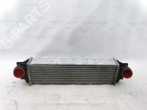 Used Intercooler BMW 7 (F01, F02, F03, F04) 730 d (245 hp) 19825282