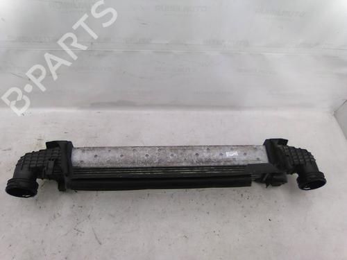 Intercooler MERCEDES-BENZ E-CLASS T-Model (S211) E 220 T CDI | BP19831526M30 
