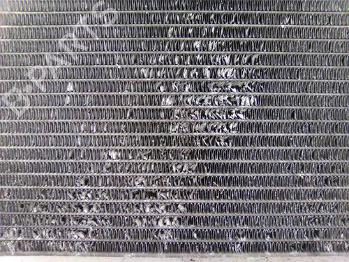 Køler RENAULT MEGANE II (BM0/1_, CM0/1_) 1.5 dCi (BM1E, CM1E) | BP29378087M31