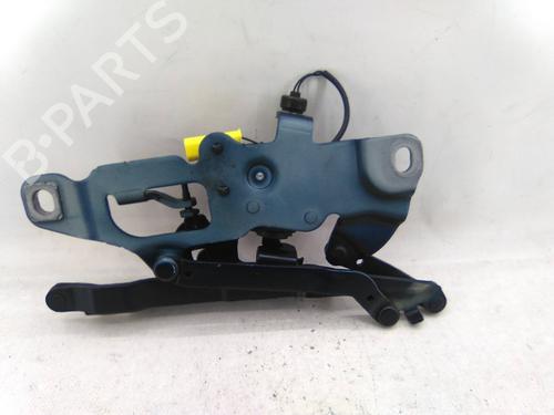 Hinge/Door check strap BMW 5 (F10) 520 d | BP31256093C146