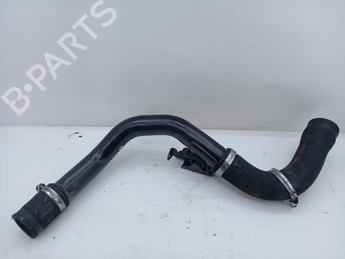 Pipe NISSAN QASHQAI I (J10, NJ10) 1.5 dCi | BP31256186M125