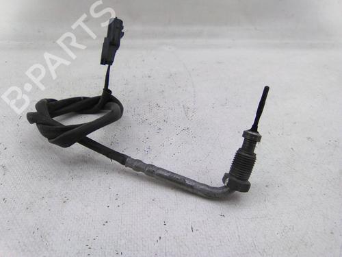 Used Other RENAULT KANGOO Express (FW0/1_) 1.5 dCi 90 (FW0G, FW05, FW08, FW11) (90 hp) 28048025