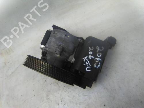 Steering pump PEUGEOT 206 Hatchback (2A/C) 1.4 HDi | BP19819794M99 