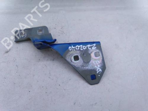 Used Hinge/Door check strap RENAULT MEGANE II (BM0/1_, CM0/1_) 1.6 16V (BM0C, CM0C) (113 hp) 31255504