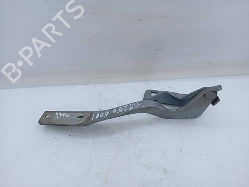 Used Hinge/Door check strap NISSAN QASHQAI I (J10, NJ10) 1.5 dCi (106 hp) 31256169