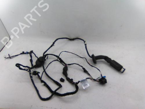 Used Wiring harness BMW 5 (G30, F90) M 550 d xDrive (400 hp) 24645225