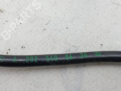 Electronic module MERCEDES-BENZ C-CLASS (W202) C 220 D (202.121) | BP28291053M83