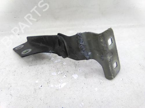Used Hinge/Door check strap RENAULT MEGANE II (BM0/1_, CM0/1_) 1.5 dCi (BM1E, CM1E) (106 hp) 31255620