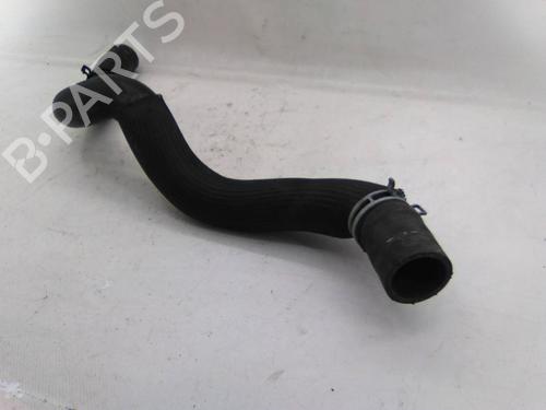 Used Cable RENAULT MEGANE III Combi Van (KZ0/1) 1.5 dCi (106 hp) 31255607