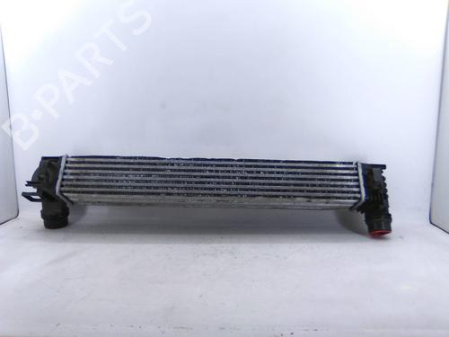 Intercooler RENAULT GRAND SCÉNIC III (JZ0/1_) 1.5 dCi (JZ0A) | BP28059023M30 