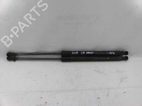 BP19822466C138 main image