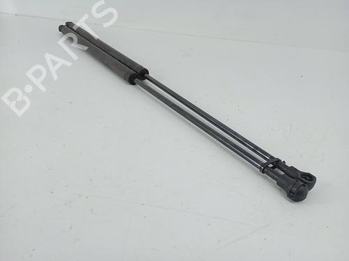 Tailgate lift support CITROËN XSARA PICASSO (N68) 1.6 HDi | BP31864857C138