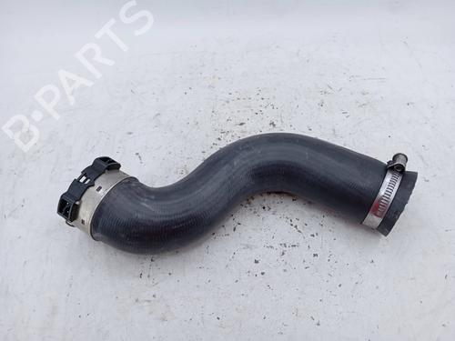 Other NISSAN JUKE (F15) 1.5 dCi | BP19842508O1