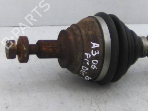 Andere AUDI A3 (8P1) 2.0 TDI 16V | BP19872567O1 