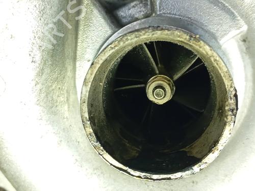 Engine (For Parts) RENAULT MEGANE II (BM0/1_, CM0/1_) 1.5 dCi (BM1E, CM1E) | BP31667936M64 