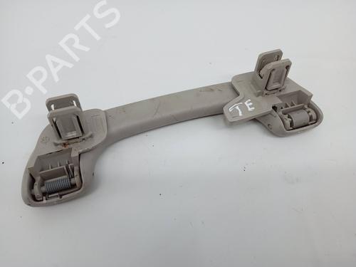 Interior roof handle RENAULT LAGUNA III (BT0/1) 2.0 dCi (BT07, BT0J, BT14, BT1A, BT1S) | BP30978012I35