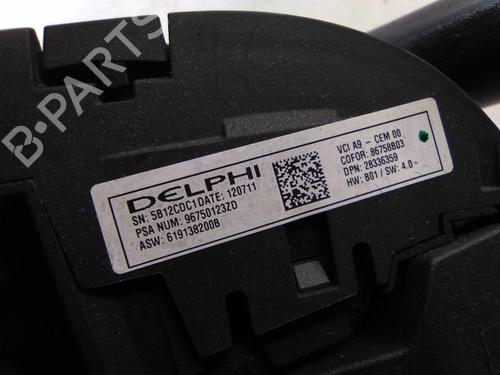 Steering wheel PEUGEOT 208 I (CA_, CC_) 1.4 HDi | BP19813113C49 