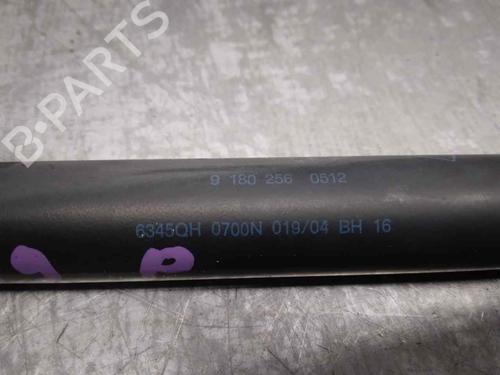 Tailgate lift support OPEL SIGNUM Hatchback (Z03) 3.0 V6 CDTI (F48) | BP18406000C138 