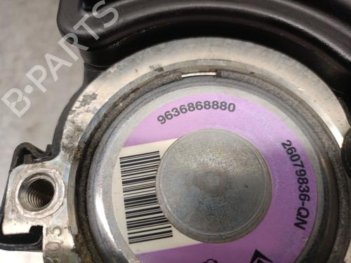 Steering pump PEUGEOT 206 Hatchback (2A/C) 1.4 i | BP25921396M99 