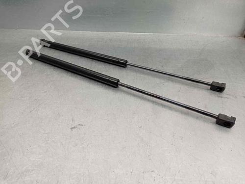 Used Tailgate lift support RENAULT SCÉNIC II (JM0/1_) 1.5 dCi (JM1E, JM16) (106 hp) 20263304