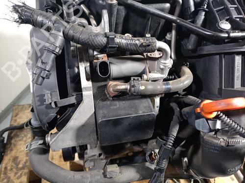 Engine SKODA OCTAVIA II (1Z3) 1.6 TDI | BP32314197M1 - Image 6