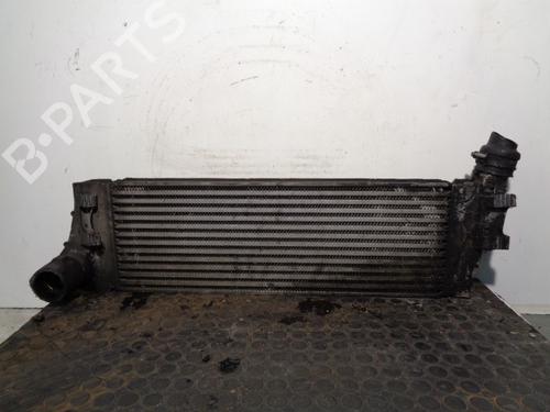 Intercooler RENAULT GRAND SCÉNIC II (JM0/1_) 1.9 dCi (JM0G, JM12, JM1G, JM2C) (120 hp) 10113602