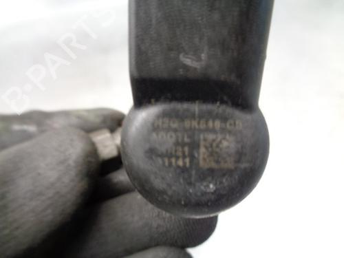 Injector LAND ROVER RANGE ROVER SPORT I (L320) 2.7 D 4x4 | BP12533194M100 