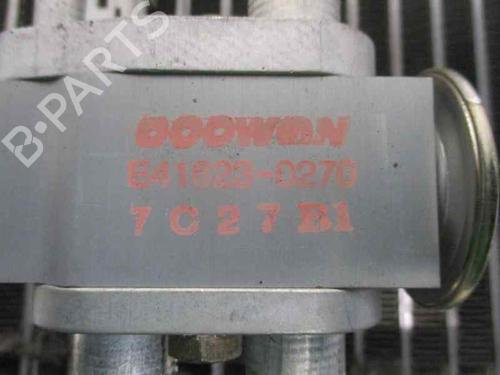 Air conditioning evaporator KIA CARENS II MPV (FJ)  | BP11667620M109 