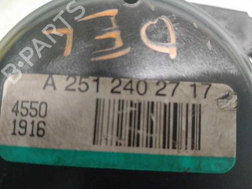 Engine mount MERCEDES-BENZ R-CLASS (W251, V251)  | BP11526697M89 