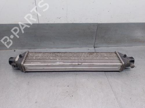 Intercooler FIAT BRAVO II (198_) 1.9 D Multijet (198AXC1B) | BP28289521M30