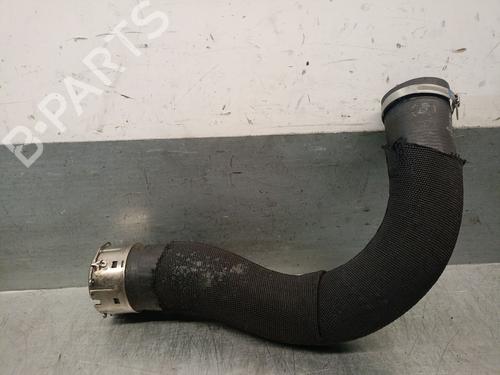 Pipe RENAULT CAPTUR II (HF_) TCe 90 (HFM6) | BP29706554M125