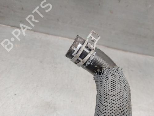 Pipe RENAULT AUSTRAL TCe 130 (HGM2) | BP23262138M125 