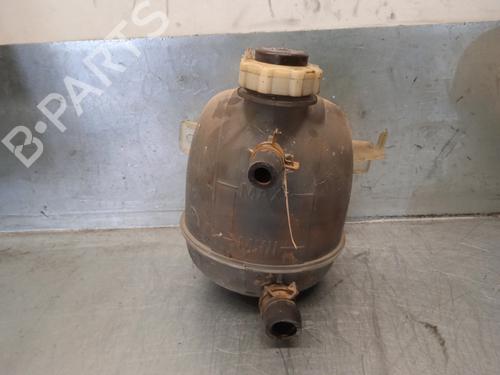 Used Expansion tank RENAULT KANGOO (KC0/1_) D 65 1.9 (KC0E, KC02, KC0J, KC0N) (64 hp) 10378476