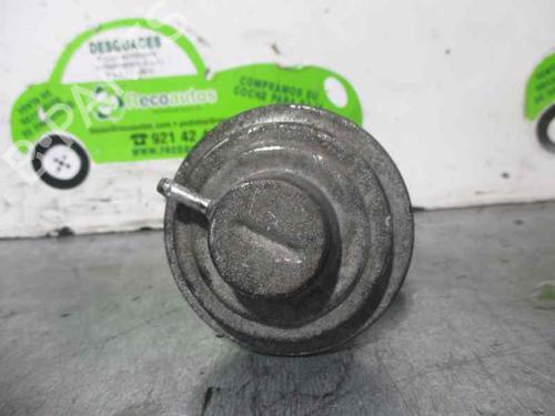 Egr SEAT INCA (6K9)  | BP2595485M69 