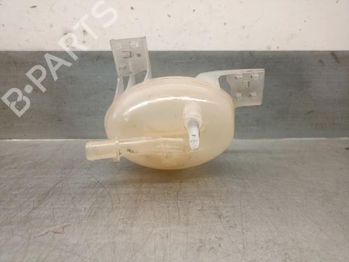 Expansion tank FIAT TIPO Saloon (356_, 357_) 1.4 (356SXA1B) | BP29481346C120 