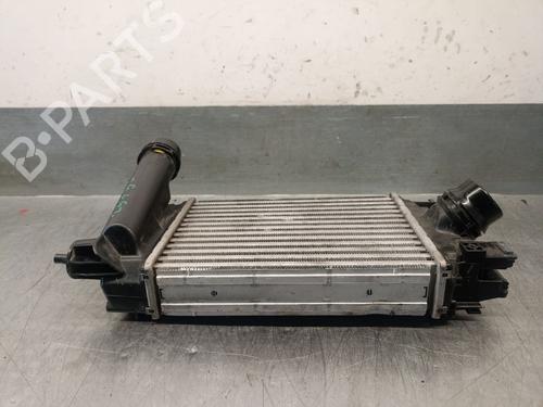 Intercooler DACIA SANDERO III 1.0 TCe 90 | BP29807020M30 