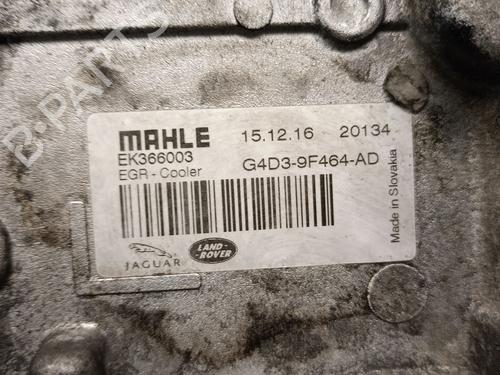 Egr JAGUAR XE (X760) 2.0 D | BP39466100M69  - Image 6