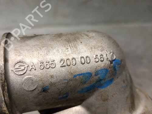 Pipe SSANGYONG KYRON 2.0 Xdi | BP32290380M125 - Image 5