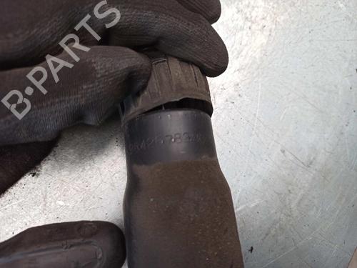 Right rear shock absorber PEUGEOT 206 Hatchback (2A/C) 1.6 16V | BP8046566M19 