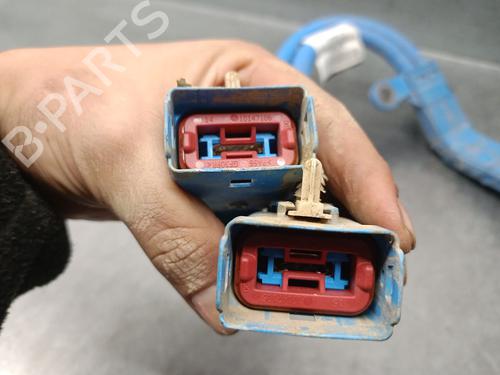 Cable LAND ROVER DEFENDER Station Wagon (L663) D250 MHEV 4x4 | BP30361591E12