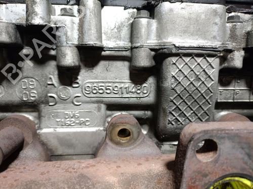 Engine FORD C-MAX (DM2) 1.6 TDCi | BP31931590M1 