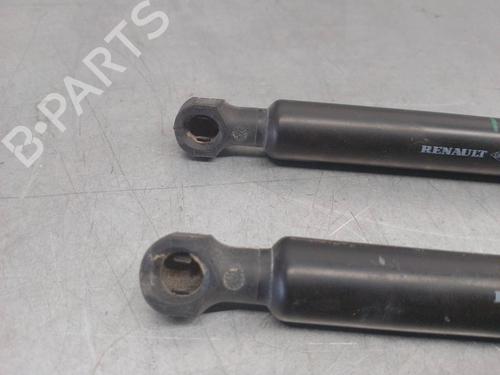 Tailgate lift support DACIA SANDERO II TCe 90 LPG (B8M1) | BP17868916C138 