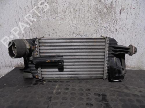 Used Intercooler NISSAN JUKE (F15) [2010-2019]  9157359