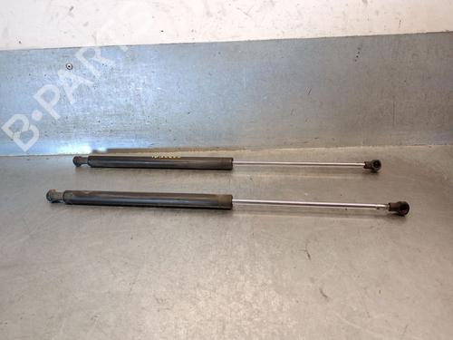 Tailgate lift support RENAULT LAGUNA II (BG0/1_) 1.9 dCi (BG1A, BG1V) 8200000902B | 8731E9