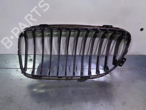 Grille BMW 3 (E90) 320 d | BP13737975C40 