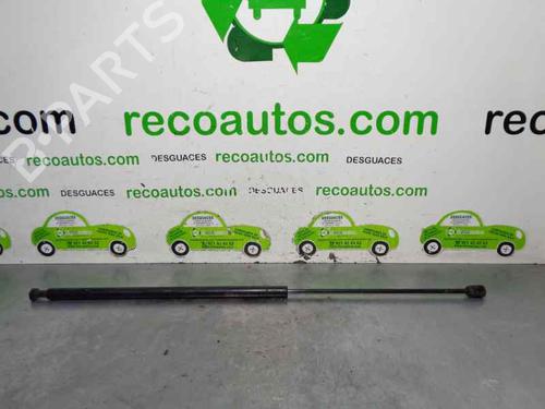 Hood lift support SAAB 9-3 (YS3F, E79, D79, D75) 1.9 TiD | BP20253098C139 